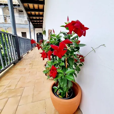 Apartamento Con Patio Sevillano Buitenkant foto